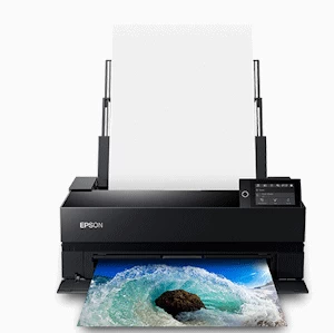 Epson P900 Photo Printer sheet feed